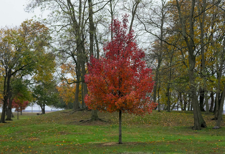 Programajánló 2025. november