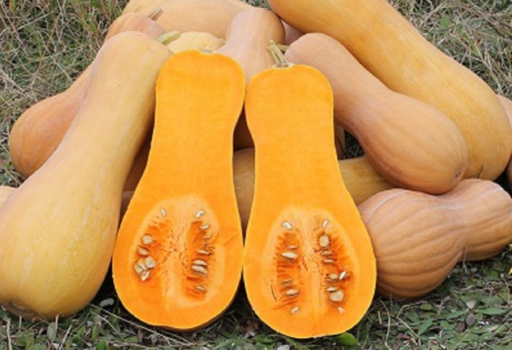 43. heti Gasztrokultúra - Sütőtökkrémleves