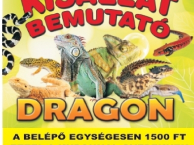 KISÁLLAT BEMUTATÓ SZENTMIHÁLYON