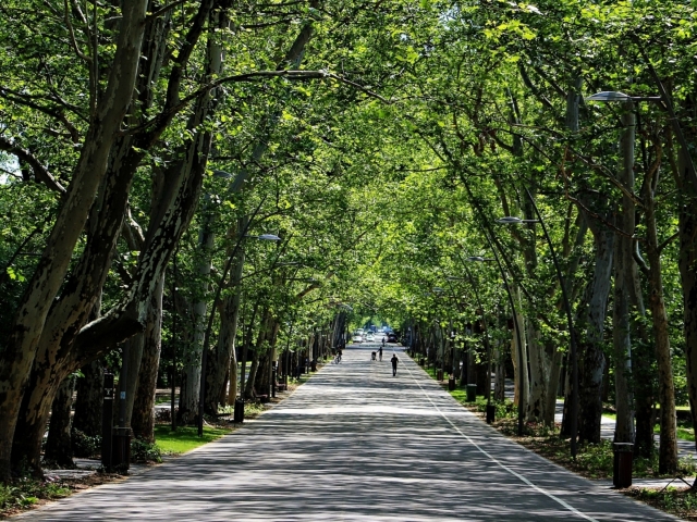 „ZÖLD ÚJSZEGED”