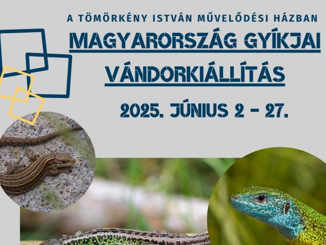 Magyarország gyíkjai vándorkiállítás - 2025
