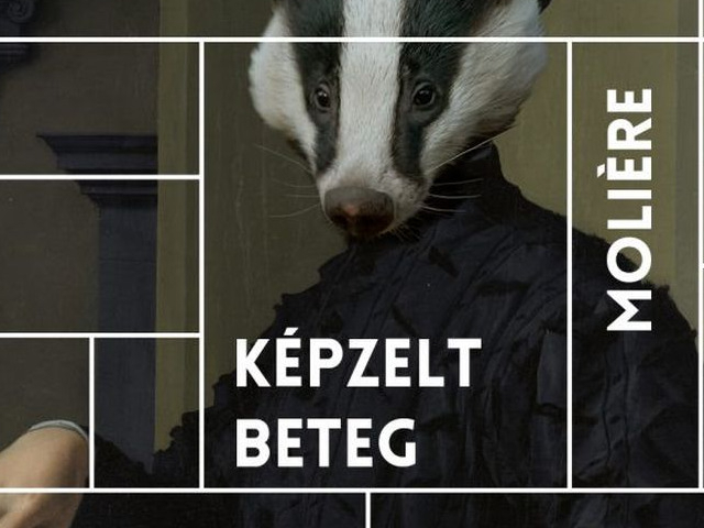 Képzelt beteg - vígjáték