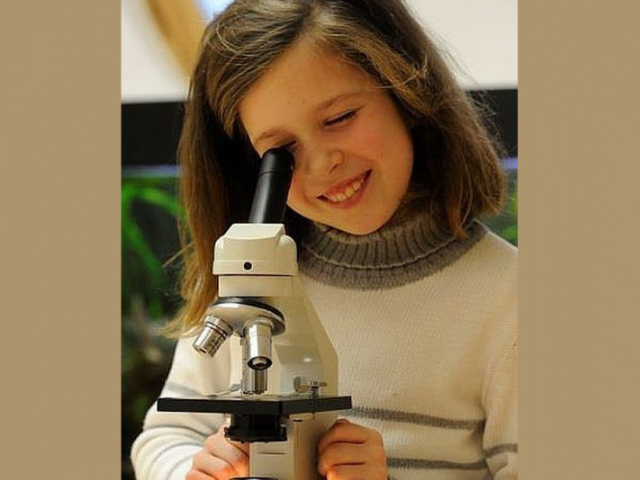 Kísérletek kavalkádja 2025.