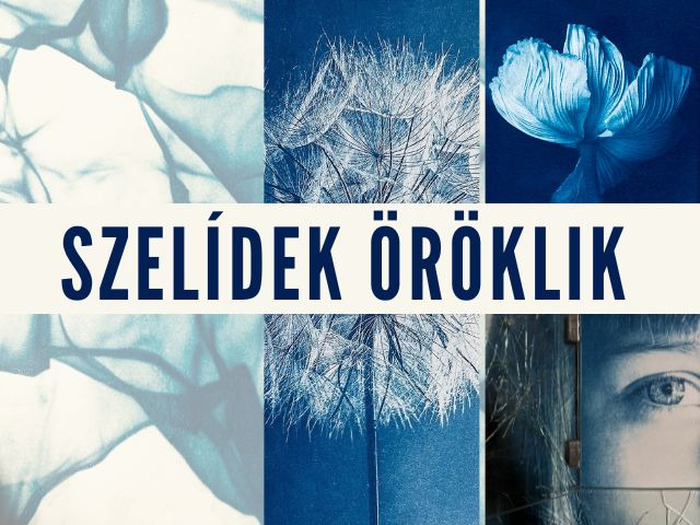 Szelíden öröklik - kiállítás